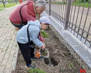 Висадка дерев