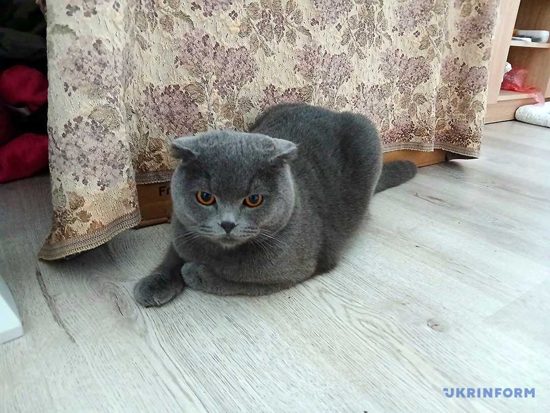 Мартін