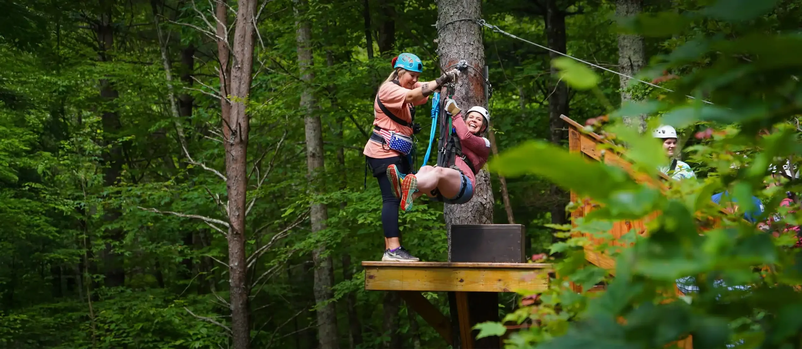 Тролеї (Zipline)