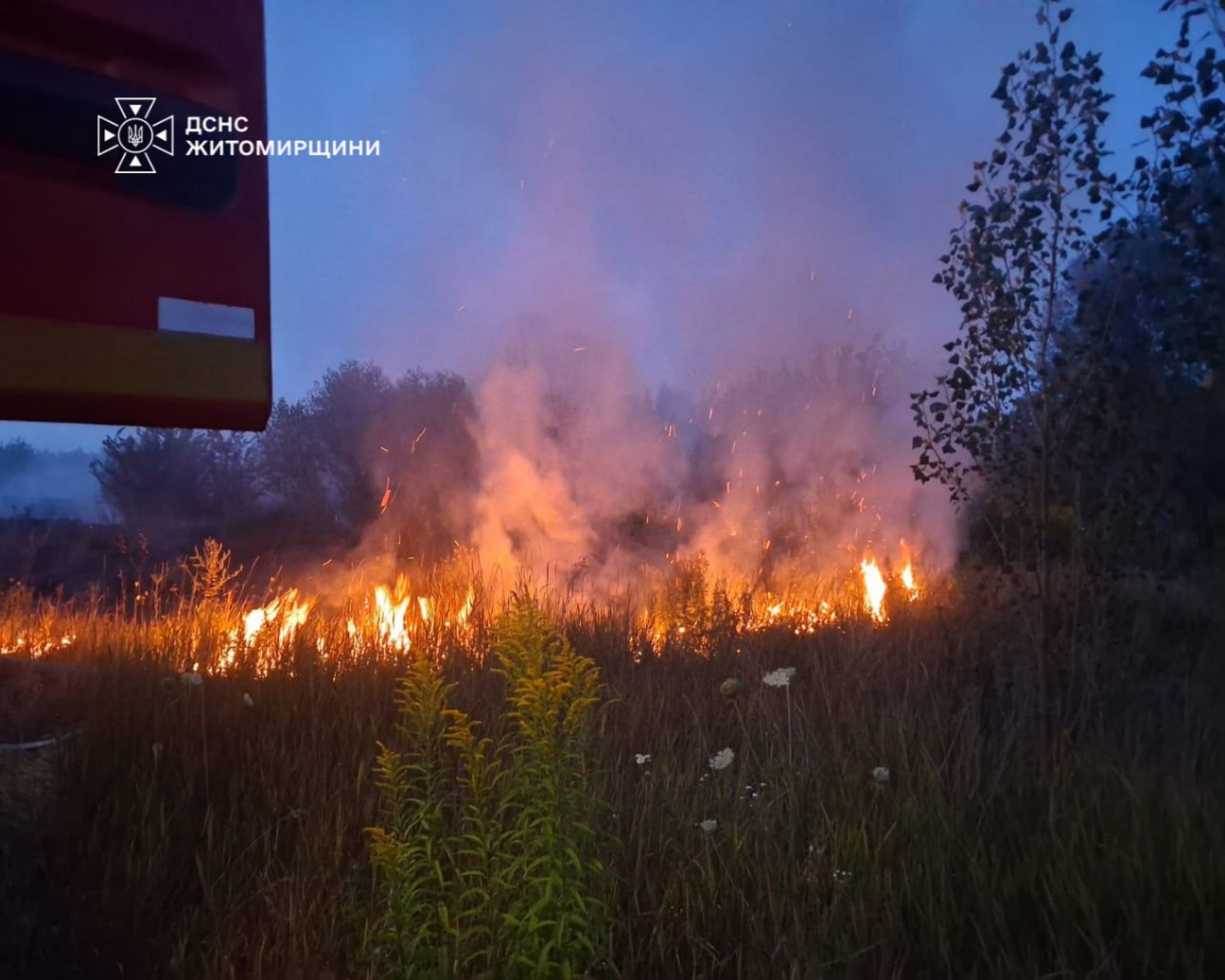 Гаряча доба: 11 виїздів рятувальників на пожежі сухостою.