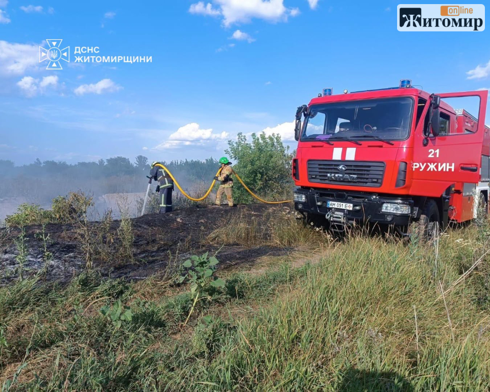 Пожежа на Житомирщині: вогонь охопив 2 га (Zhitomir-OnLine)