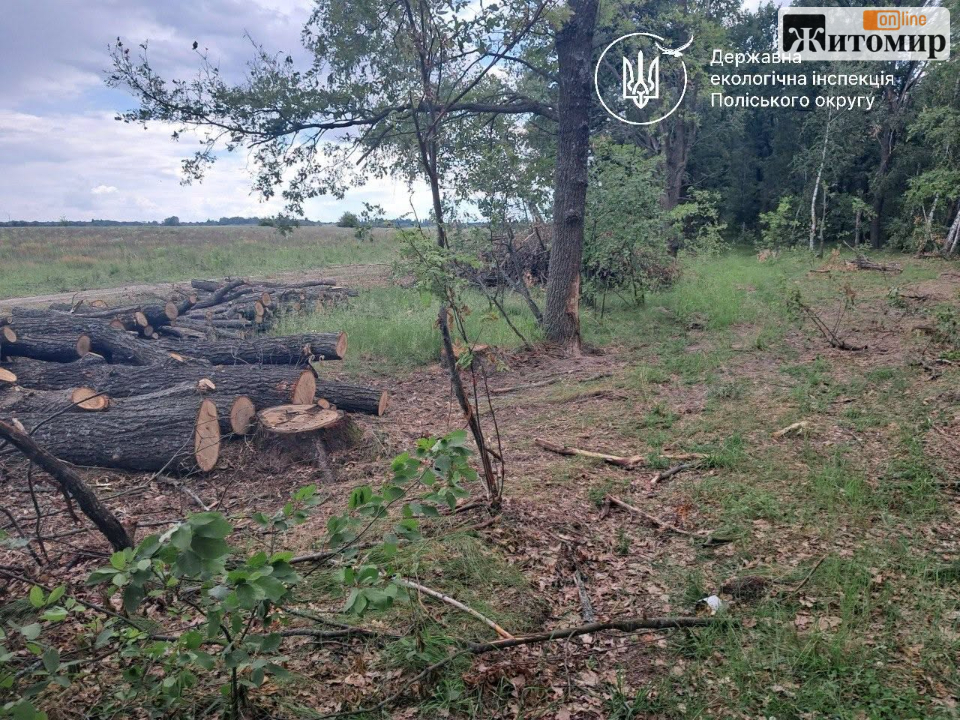 Житомирщина: 2,5 млн грн за незаконну порубку. Суд зобов’язав сільраду відшкодувати збитки.