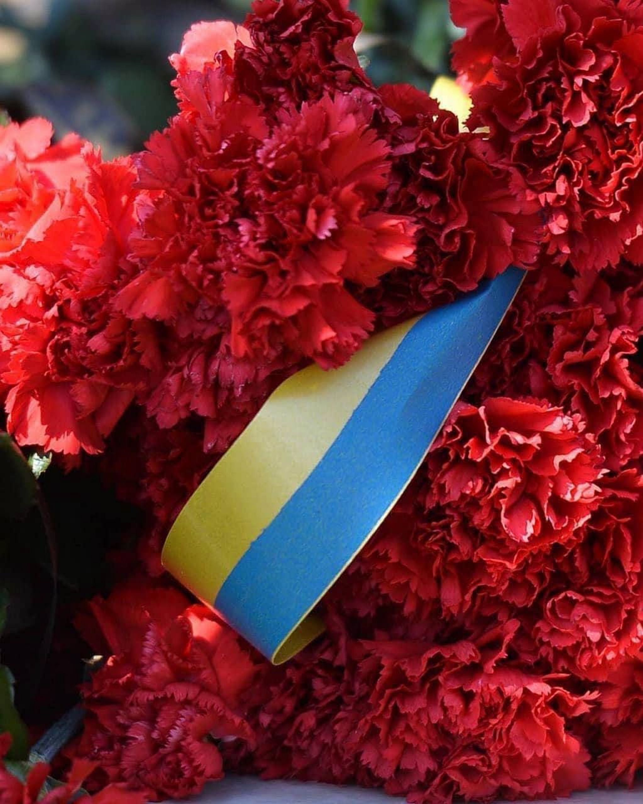 Герой з Житомирщини: Андрій Кравченко загинув, захищаючи Україну на Дніпропетровщині.