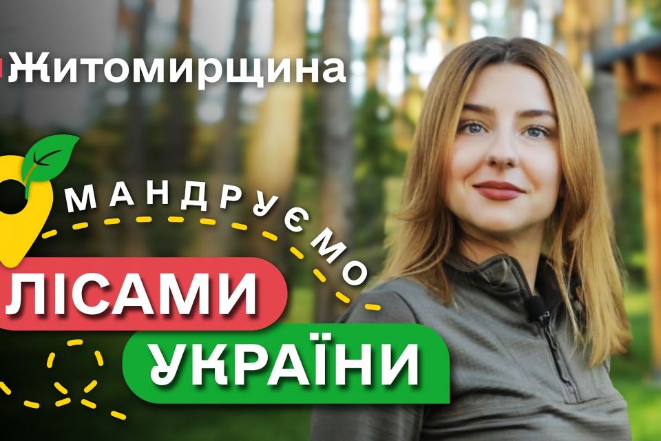 Мандруємо лісами України: ліси Житомирщини – місце для незабутнього відпочинку